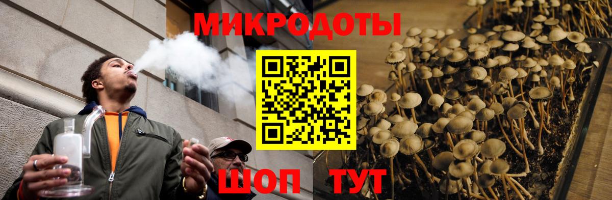 купить   Вход с VPN  Рузаевка  Псилоцибиновые грибы Psilocybe 
